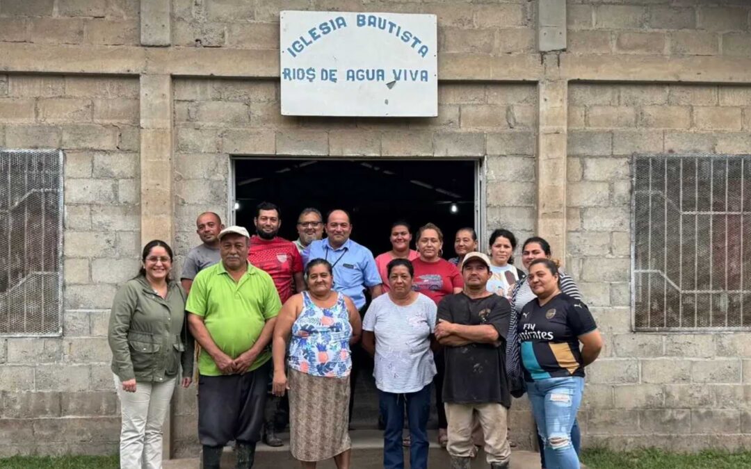 Agricultural Project Follow-up