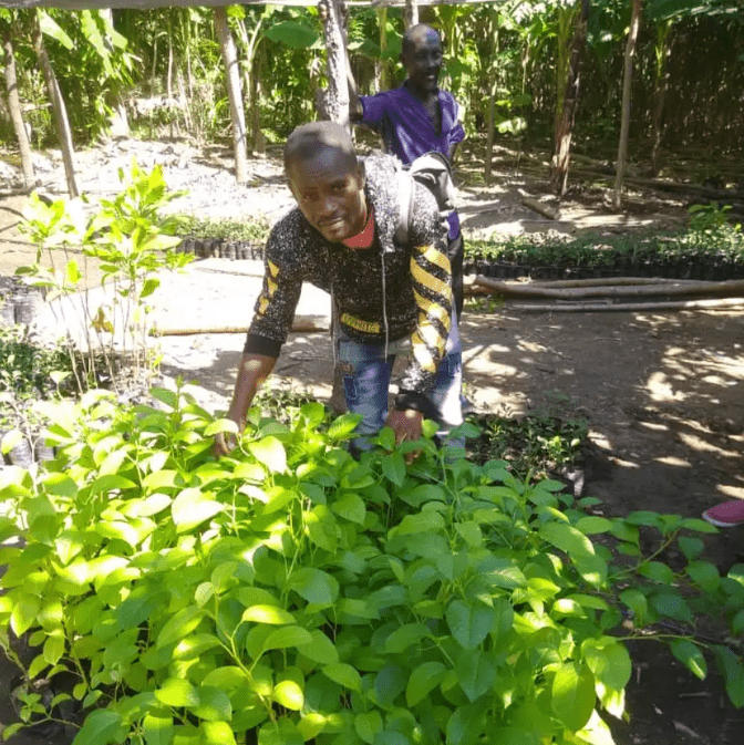 Why giving directly still means giving well