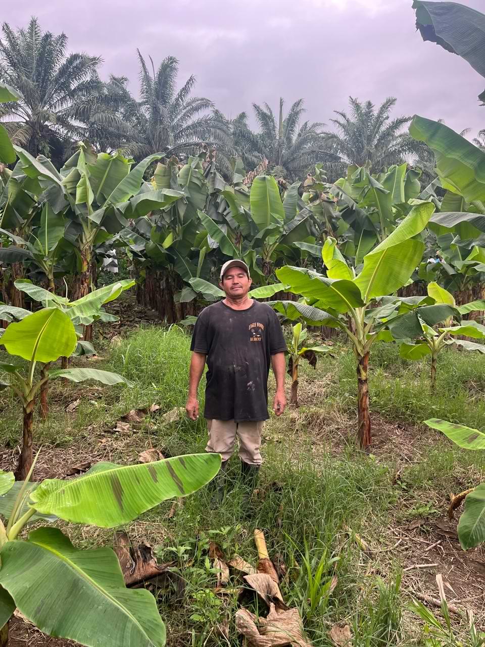 Study refugees build independence with cash aid