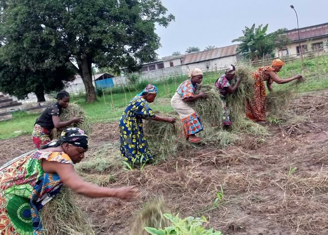 Study refugees build independence with cash aid